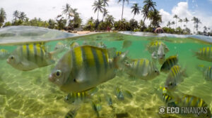 Melhores Destinos para Conhecer Neste Ano