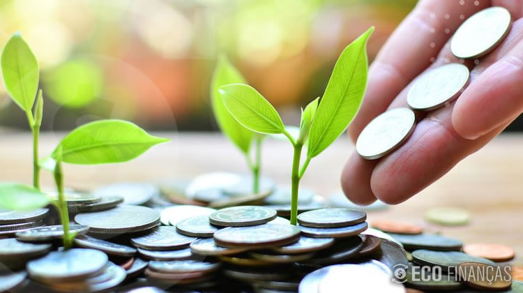 A Importancia da Educacao Financeira nos Investimentos