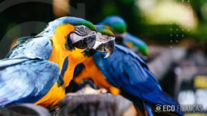 Fatos surpreendentes sobre animais que desafiam a lógica humana